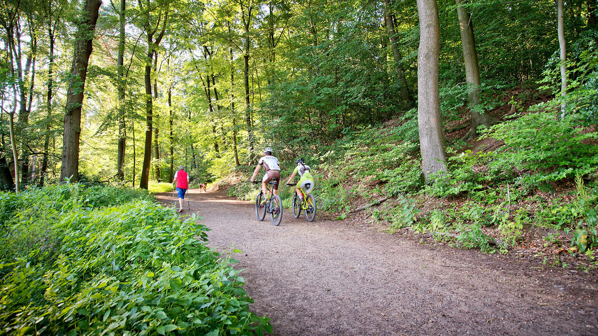 Wandern, Nordic Walking und Radfahren direkt am Romantik Waldhotel Mangold im Bergischen Land