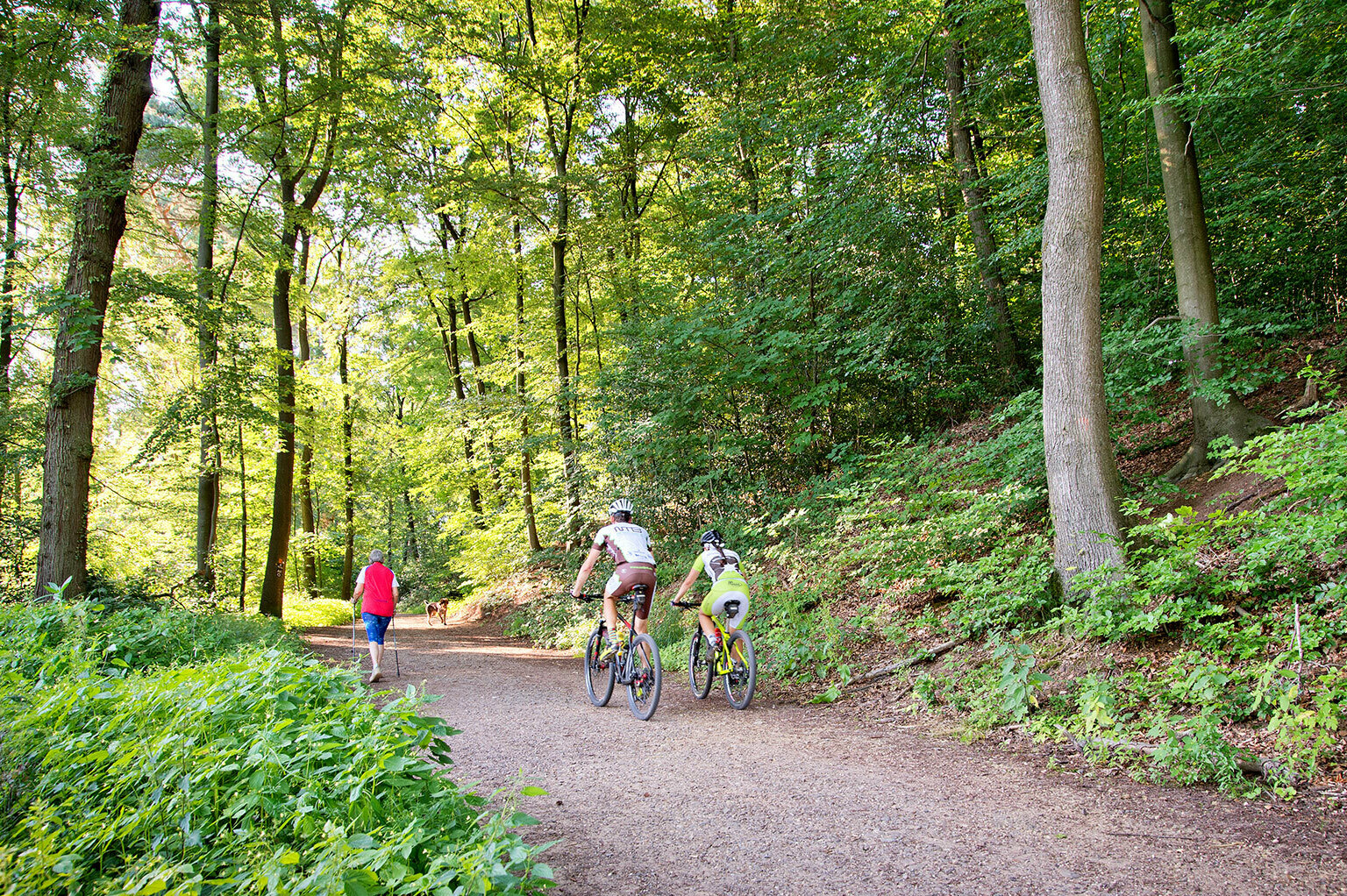 Wandern und Radfahren im Milchborntal Wanderin mit Nordic-Walking-Stöcken, Radfahrer und Hund Cenia auf einem Weg im Milchborntal bei Bensberg