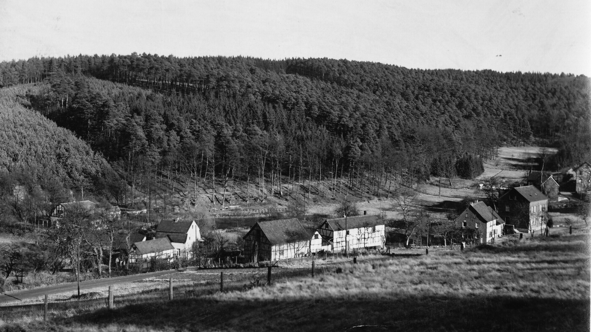 Historische Ansicht des Milchborntals vermutlich aus den 1920er-Jahren mit dem späteren Romantik Waldhotel Mangold