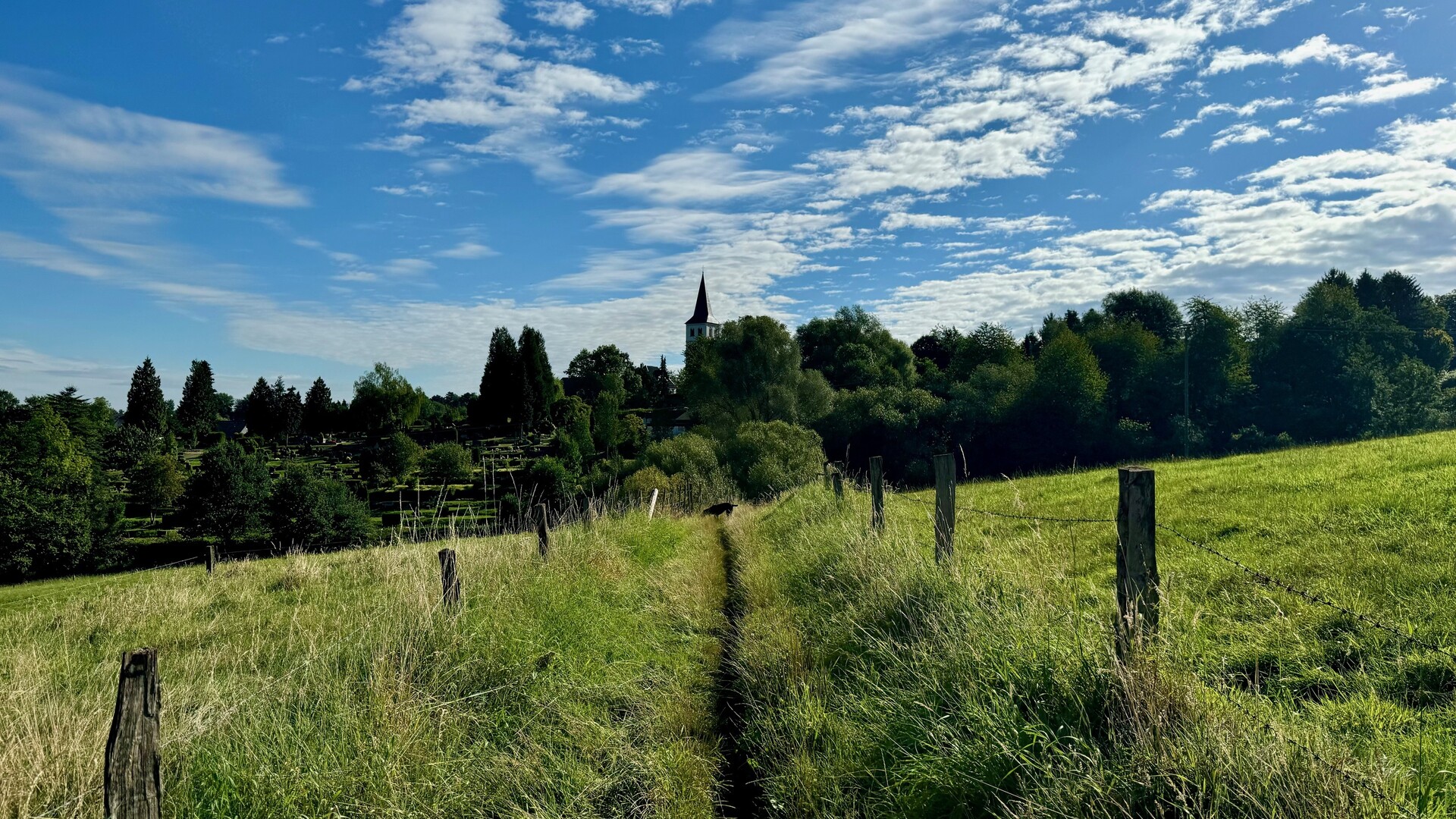 Rundblick bei Herkenrath Weite Wiesen und sanfte Hügel rund um Herkenrath